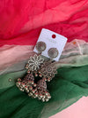 Neeta earring