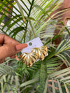 Zahar earing