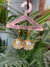 Golden sea shell pearlearring