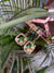 Yasmin earring
