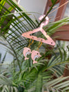 Baby pink dolphin earring
