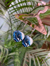 Kimber earring