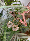 Harriet earring