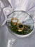 Thea hoops