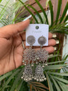 Neeta earring