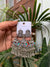 Shantee jhumka