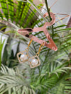 Arya studded pearl esrring