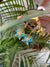 Aqua studded butterfly earring