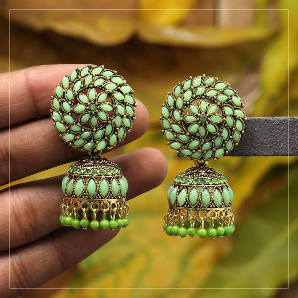 Parrot Green Color Glass Stone Oxidised Earrings-0
