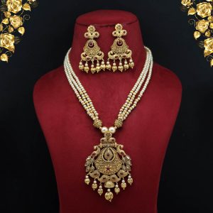 Rani Color Matte Gold Necklace Set-0